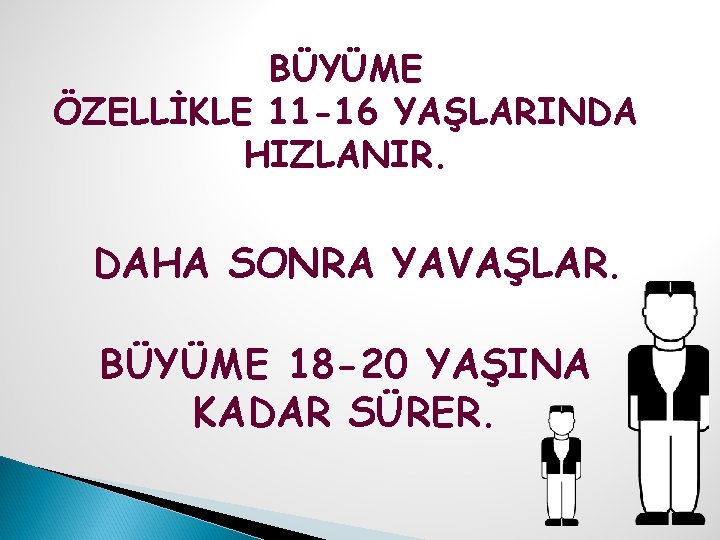 BÜYÜME ÖZELLİKLE 11 -16 YAŞLARINDA HIZLANIR. DAHA SONRA YAVAŞLAR. BÜYÜME 18 -20 YAŞINA KADAR