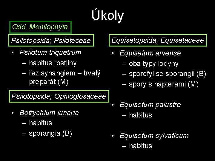 Úkoly Odd. Monilophyta Psilotopsida; Psilotaceae Equisetopsida; Equisetaceae • Psilotum triquetrum – habitus rostliny –