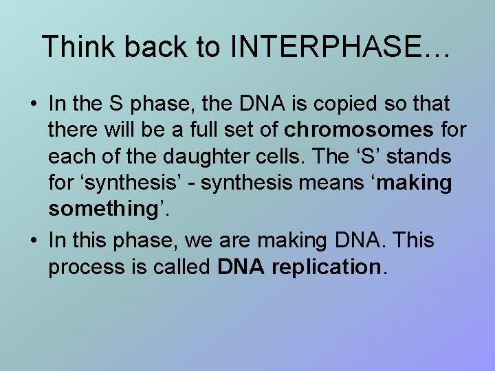 Think back to INTERPHASE… • In the S phase, the DNA is copied so