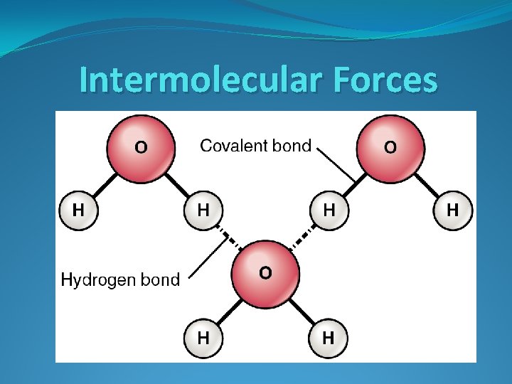 Intermolecular Forces 