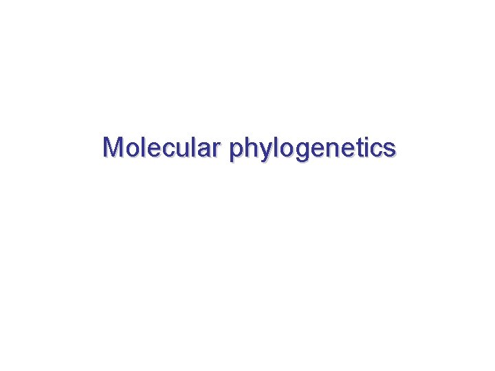 Molecular phylogenetics 