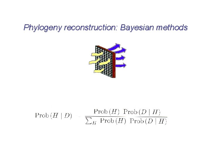 Phylogeny reconstruction: Bayesian methods 