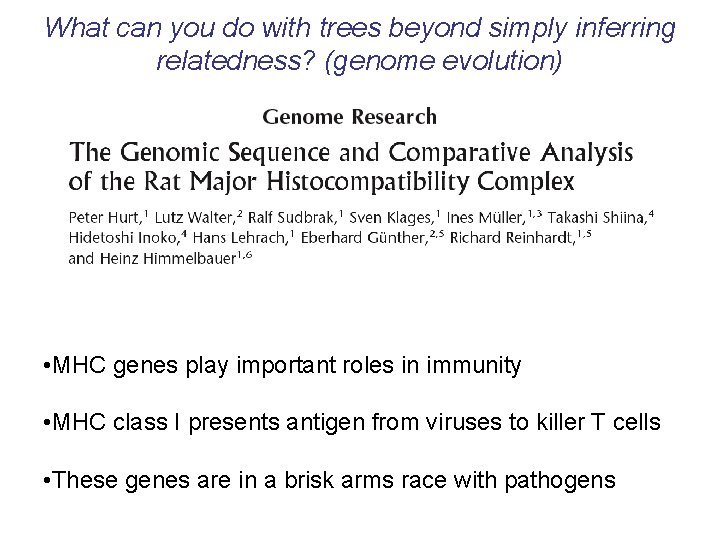 What can you do with trees beyond simply inferring relatedness? (genome evolution) • MHC