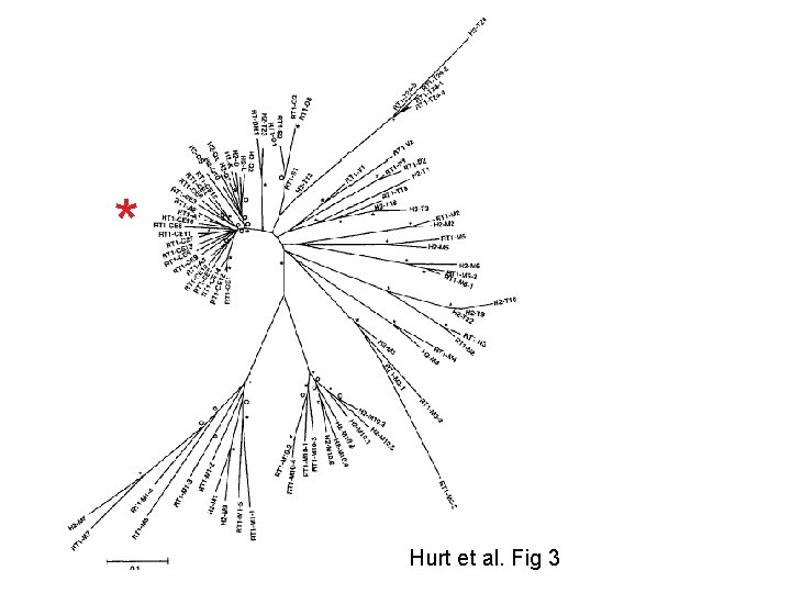 * Hurt et al. Fig 3 