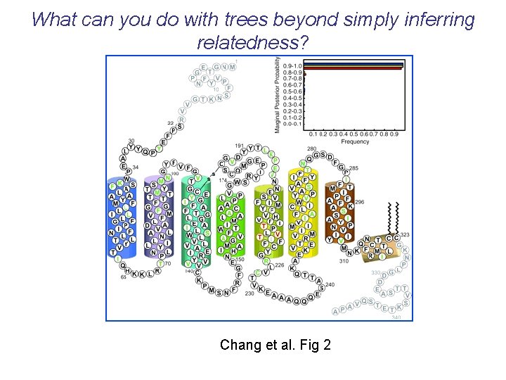 What can you do with trees beyond simply inferring relatedness? Chang et al. Fig