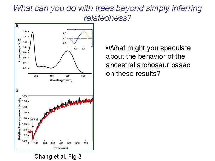 What can you do with trees beyond simply inferring relatedness? • What might you