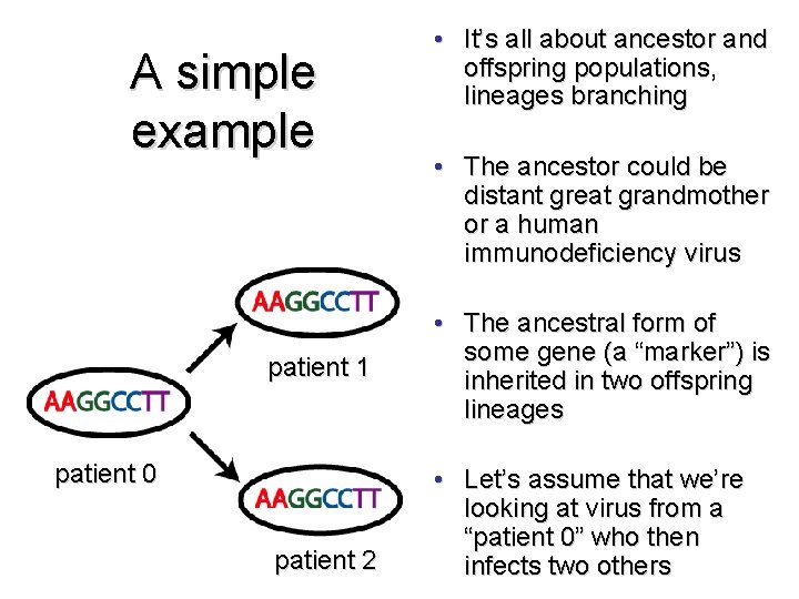 A simple example patient 1 patient 0 patient 2 • It’s all about ancestor