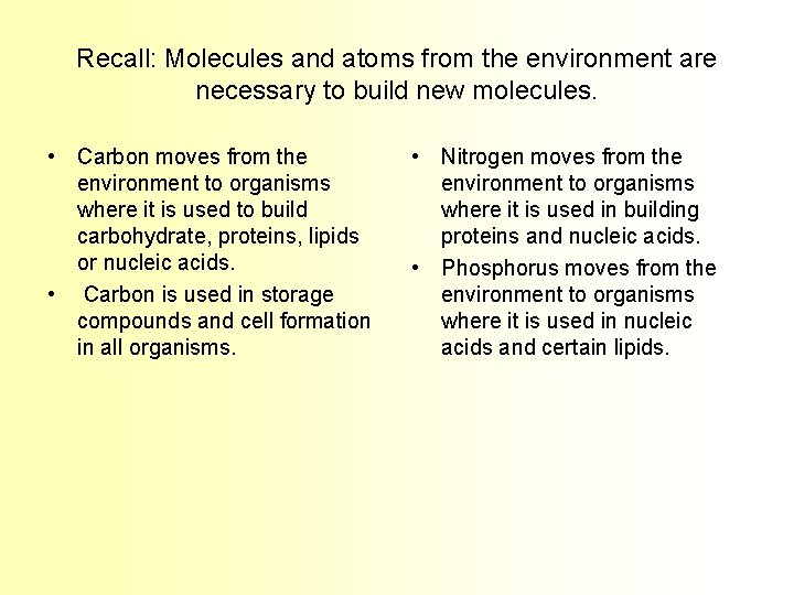 Recall: Molecules and atoms from the environment are necessary to build new molecules. •