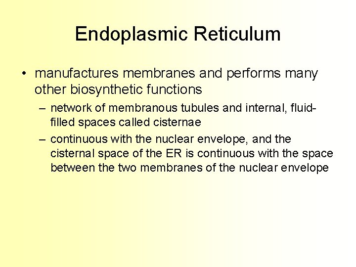 Endoplasmic Reticulum • manufactures membranes and performs many other biosynthetic functions – network of