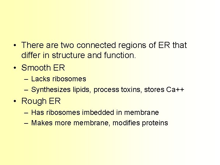  • There are two connected regions of ER that differ in structure and