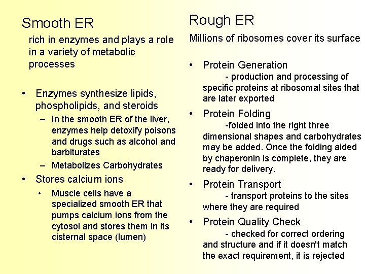 Smooth ER rich in enzymes and plays a role in a variety of metabolic