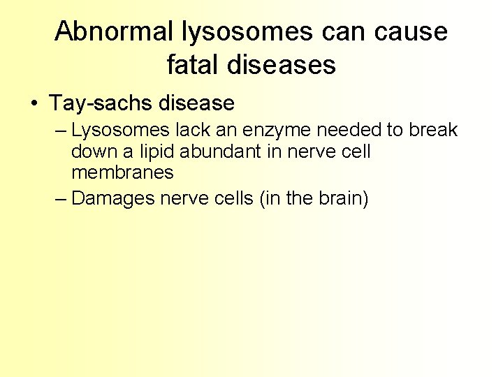 Abnormal lysosomes can cause fatal diseases • Tay-sachs disease – Lysosomes lack an enzyme