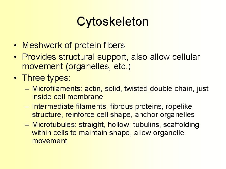 Cytoskeleton • Meshwork of protein fibers • Provides structural support, also allow cellular movement