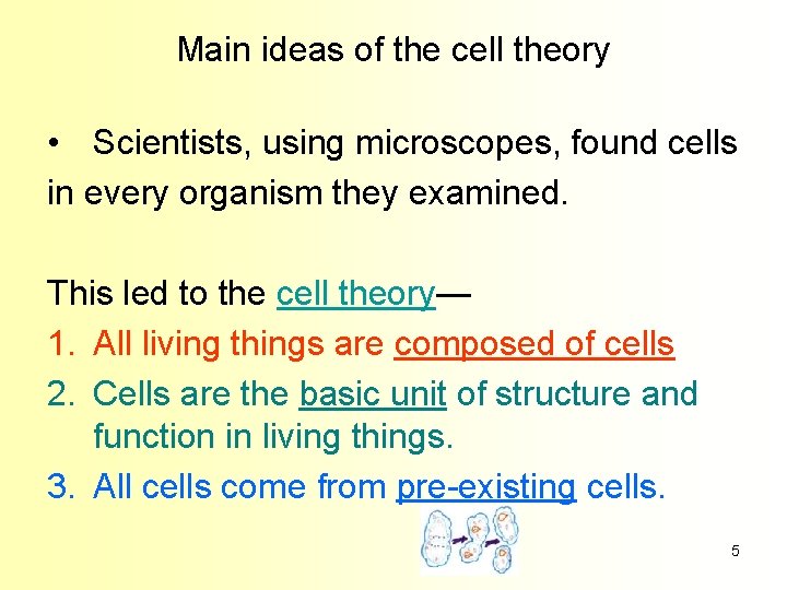 Main ideas of the cell theory • Scientists, using microscopes, found cells in every
