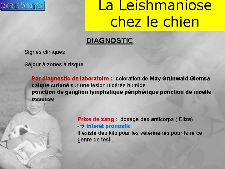 La Leishmaniose chez le chien DIAGNOSTIC Signes cliniques Séjour à zones à risque Par