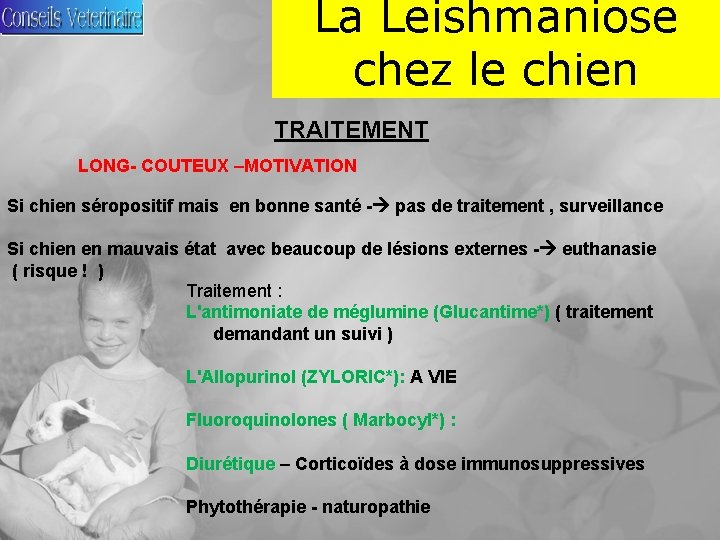 La Leishmaniose chez le chien TRAITEMENT LONG- COUTEUX –MOTIVATION Si chien séropositif mais en