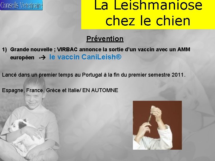 La Leishmaniose chez le chien Prévention 1) Grande nouvelle ; VIRBAC annonce la sortie