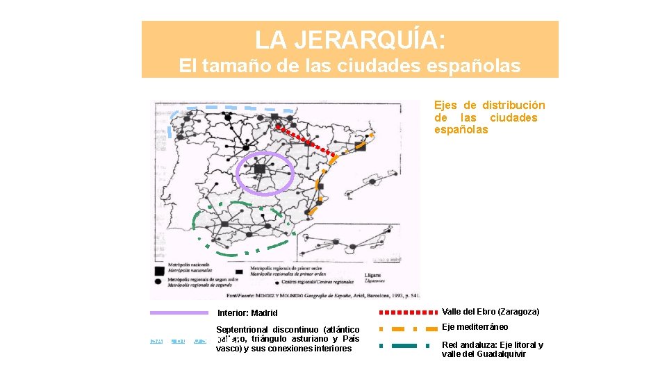 LA JERARQUÍA: El tamaño de las ciudades españolas Ejes de distribución de las ciudades