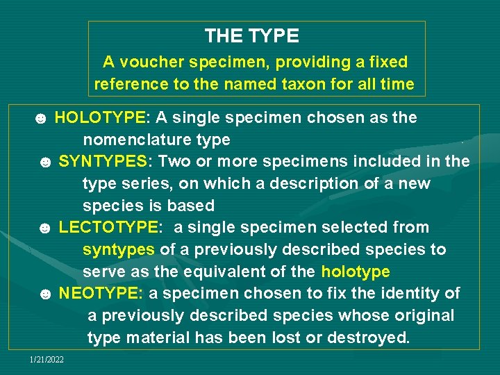 THE TYPE A voucher specimen, providing a fixed reference to the named taxon for