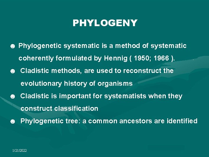 PHYLOGENY ☻ Phylogenetic systematic is a method of systematic coherently formulated by Hennig (