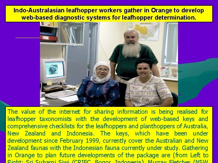 Indo-Australasian leafhopper workers gather in Orange to develop web-based diagnostic systems for leafhopper determination.
