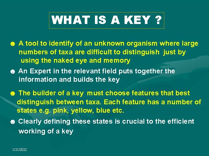 WHAT IS A KEY ? ☻ A tool to identify of an unknown organism