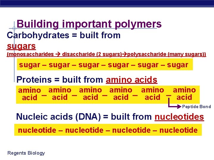 Building important polymers Carbohydrates = built from sugars (monosaccharides disaccharide (2 sugars) polysaccharide (many