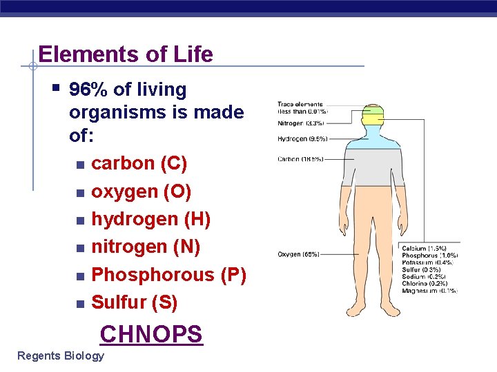 Elements of Life § 96% of living organisms is made of: n carbon (C)