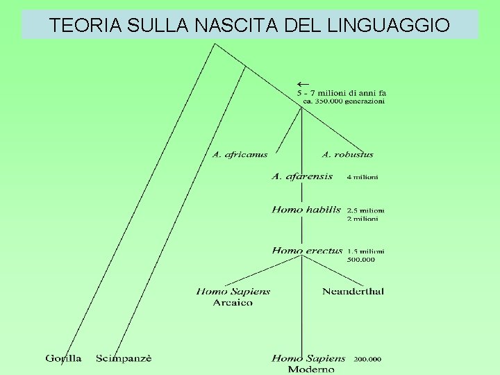 TEORIA SULLA NASCITA DEL LINGUAGGIO 