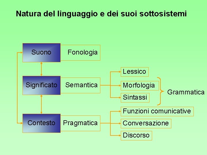 Natura del linguaggio e dei suoi sottosistemi Suono Fonologia Lessico Significato Semantica Morfologia Sintassi