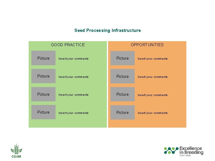 Seed Processing Infrastructure GOOD PRACTICE OPPORTUNITIES Picture Insert your comments Picture Insert your comments