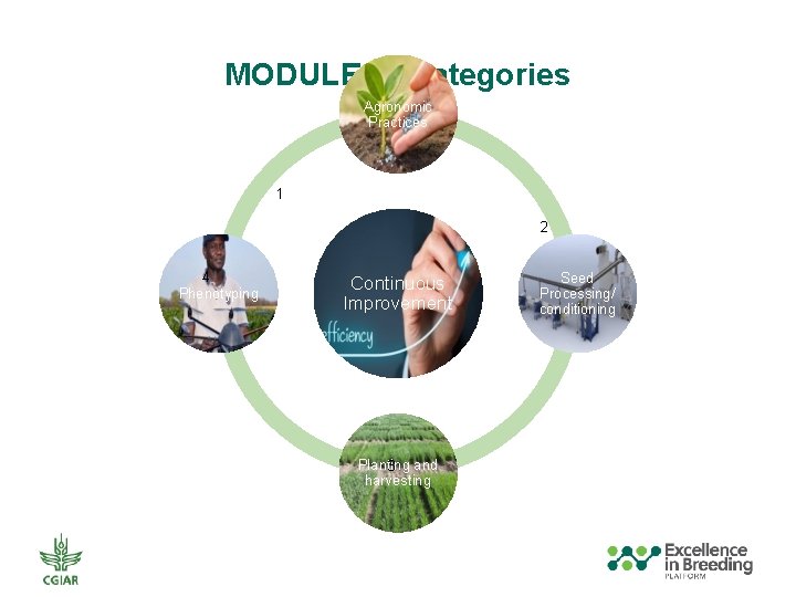 MODULE IV Categories Agronomic Practices 1 2 4 Phenotyping Continuous Improvement Planting 3 and