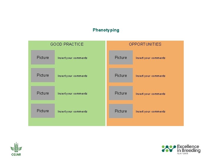 Phenotyping GOOD PRACTICE OPPORTUNITIES Picture Insert your comments Picture Insert your comments 