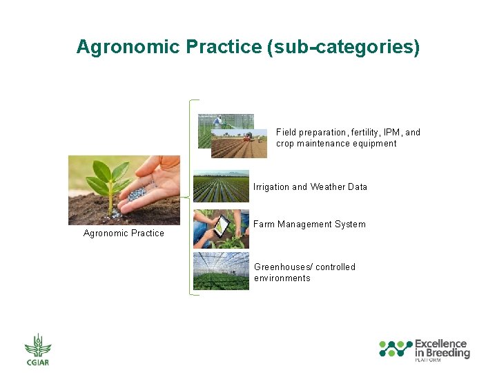 Agronomic Practice (sub-categories) Field preparation, fertility, IPM, and crop maintenance equipment Irrigation and Weather