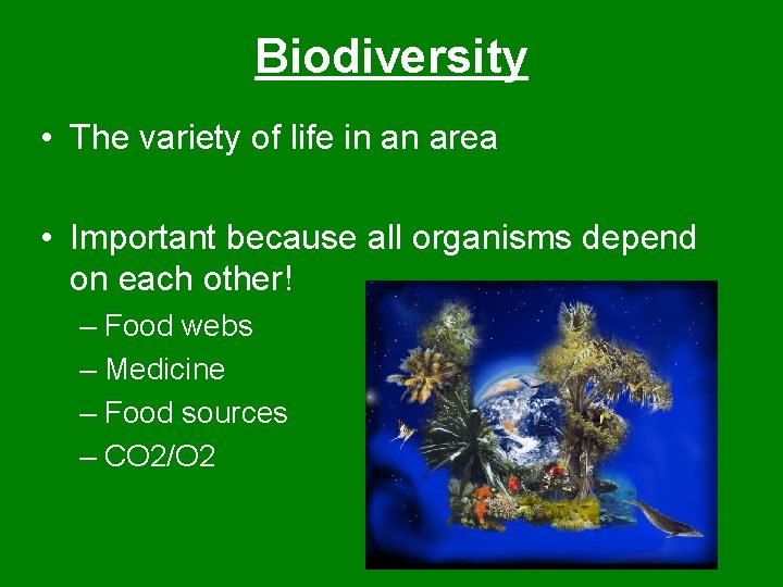 Biodiversity • The variety of life in an area • Important because all organisms