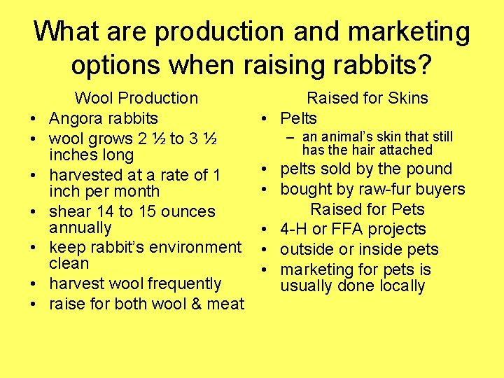 Exploring the Rabbit Industry Lesson 7 Interest Approach