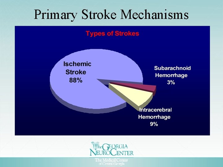 Primary Stroke Mechanisms 