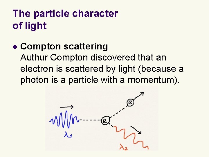 The particle character of light l Compton scattering Authur Compton discovered that an electron