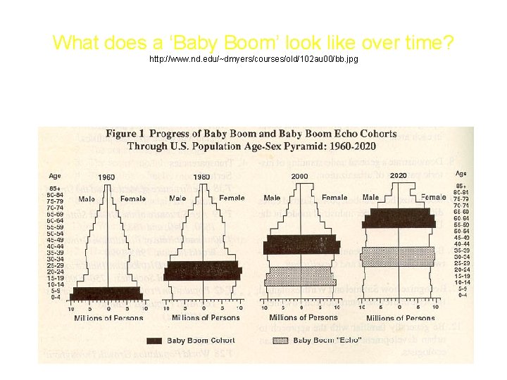 What does a ‘Baby Boom’ look like over time? http: //www. nd. edu/~dmyers/courses/old/102 au What does a ‘Baby Boom’ look like over time? http: //www. nd. edu/~dmyers/courses/old/102 au