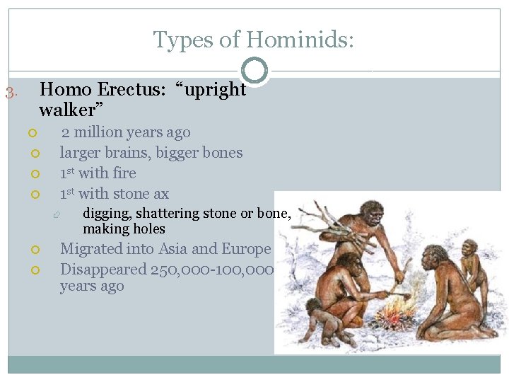 Types of Hominids: Homo Erectus: “upright walker” 3. 2 million years ago larger brains,