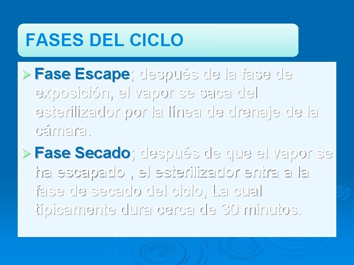 FASES DEL CICLO Ø Fase Escape; después de la fase de exposición, el vapor