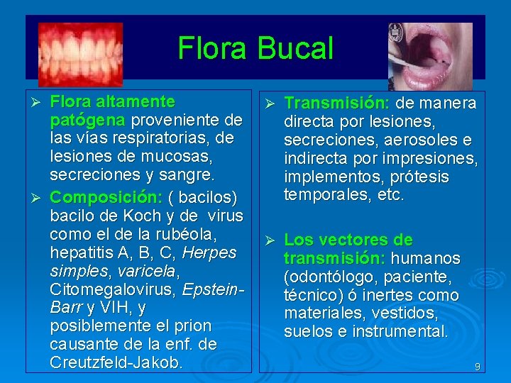 Flora Bucal Flora altamente patógena proveniente de las vías respiratorias, de lesiones de mucosas,