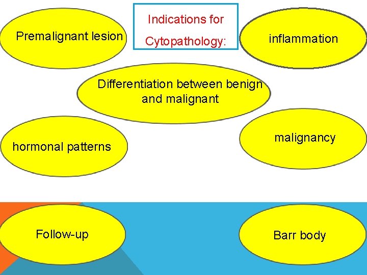 Indications for Premalignant lesion Cytopathology: inflammation Differentiation between benign and malignant hormonal patterns Follow-up Indications for Premalignant lesion Cytopathology: inflammation Differentiation between benign and malignant hormonal patterns Follow-up