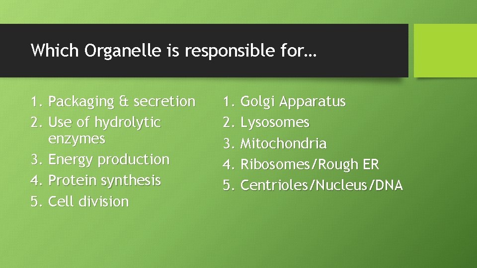 Which Organelle is responsible for… 1. Packaging & secretion 2. Use of hydrolytic enzymes