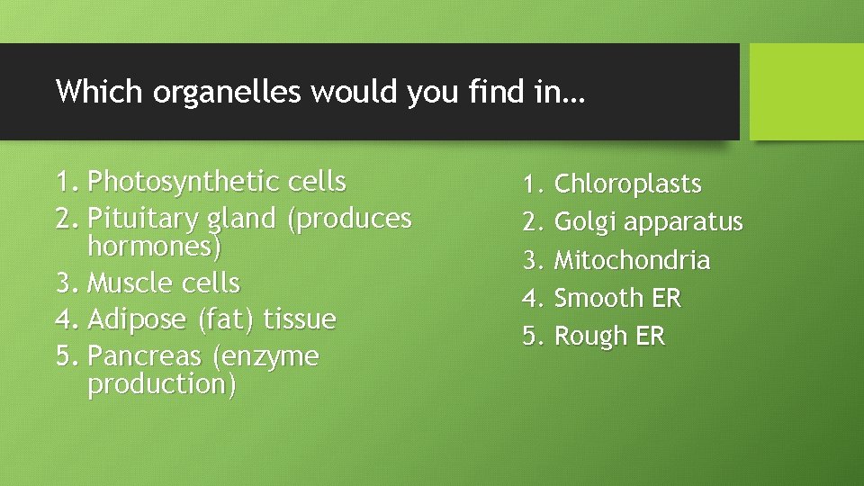 Which organelles would you find in… 1. Photosynthetic cells 2. Pituitary gland (produces hormones)