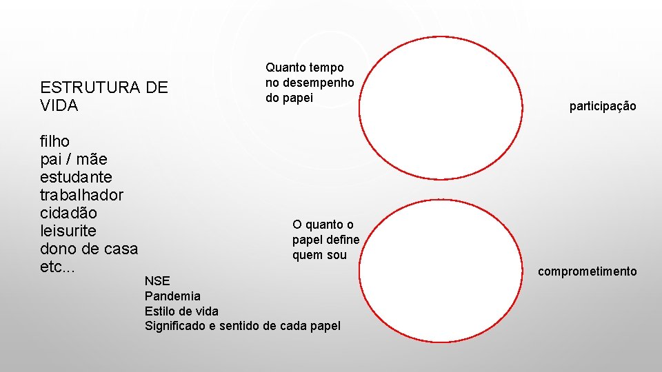 ESTRUTURA DE VIDA filho pai / mãe estudante trabalhador cidadão leisurite dono de casa