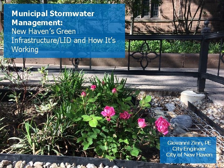 Municipal Stormwater Management: New Haven’s Green Infrastructure/LID and How It’s Working Giovanni Zinn, PE