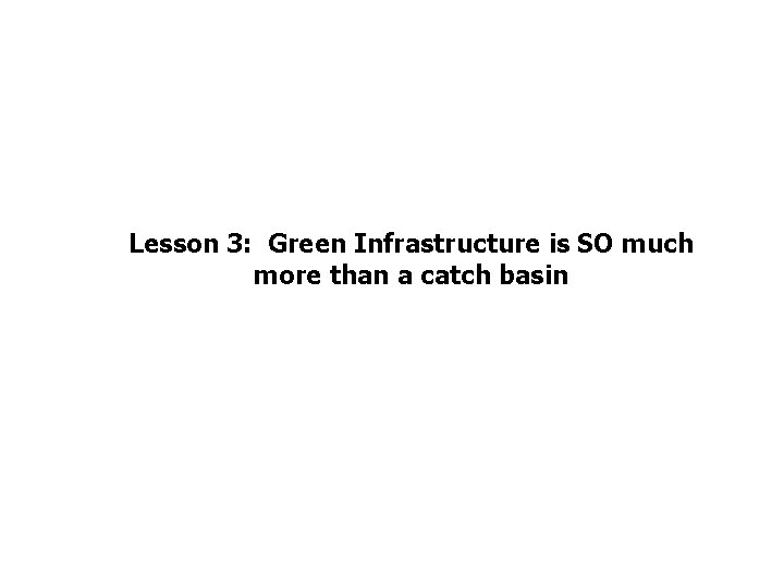 Lesson 3: Green Infrastructure is SO much more than a catch basin 
