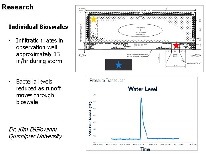 Research Individual Bioswales • Infiltration rates in observation well approximately 13 in/hr during storm