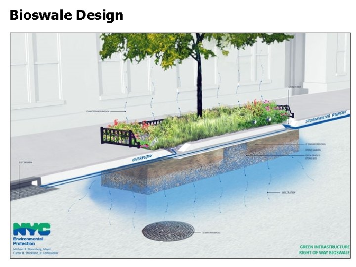 Bioswale Design 